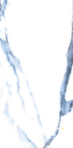 CALACATTA BLUE POLISHED 12" X 24" - 3