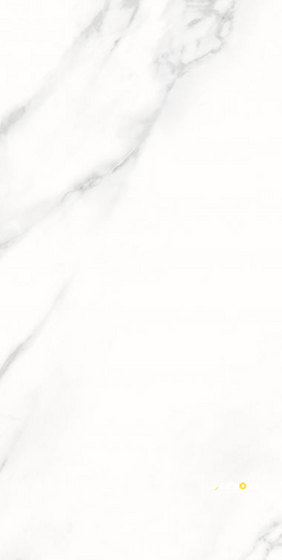 AGL STATUARIO POLISHED 12" X 24" - 4