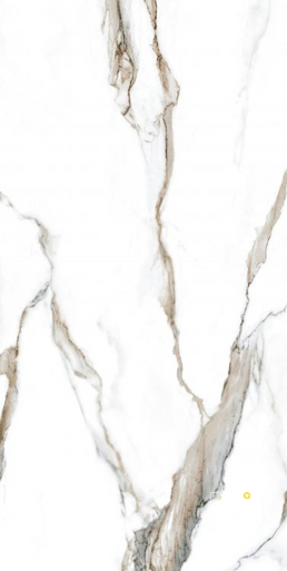 CALACATTA FANTASY TOPO POLISHED 24" X 48" - 6