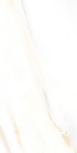 AGL CALACATTA GOLD POLISHED 24" X 48" - ELYTIL2570 - 4