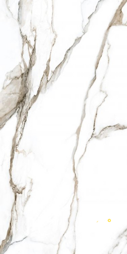 CALACATTA FANTASY TOPO POLISHED 24" X 48" - 5