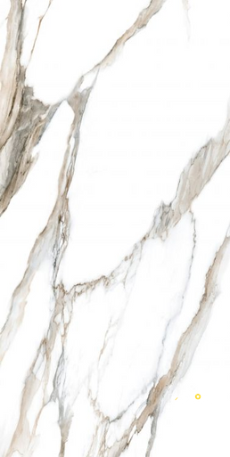 CALACATTA FANTASY TOPO POLISHED 24" X 48" - 4