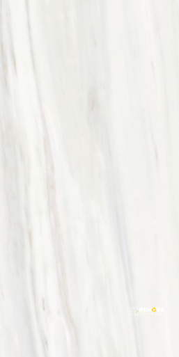 ORIGINES OMBRE DOREE GLOSSY 24" X 48" - ELYTIL1787 - 10