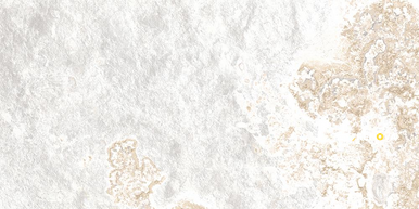 EDIMAX MORE MILK 12X24 FIELD PRESSED