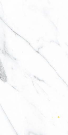 AGL CARRARA POLISHED 12" X 24" - 3