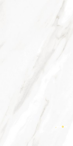 EC CALACATTA GOLD POLISHED 12" X 24" - ELYTIL1745 - 5