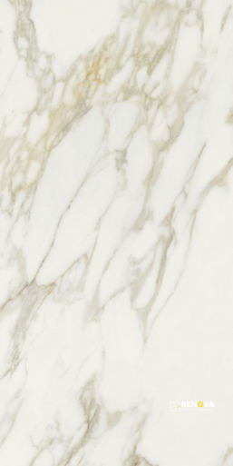 ETOILE CREME MATTE 24" X 48" - 3
