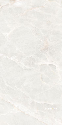 BRASILIA WHITE POLISHED 12" X 24" - 5