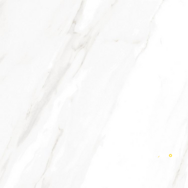EC CALACATTA GOLD POLISHED 24" X 24" - ELYTIL1746 - 8