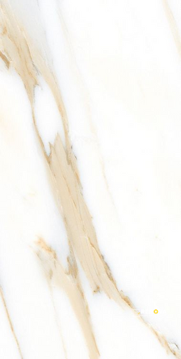 AGL CALACATTA GOLD MATTE 24" X 48" - ELYTIL2554 - 5