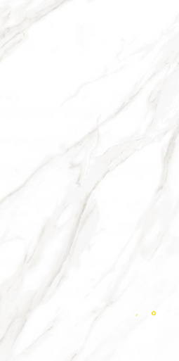 EC CALACATTA GOLD MATTE 24" X 48" - ELYTIL1560