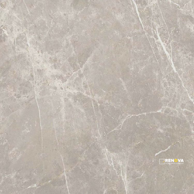 DOLOMIA GREY NATURAL 24" X 24" - ELYTIL1550 - 6