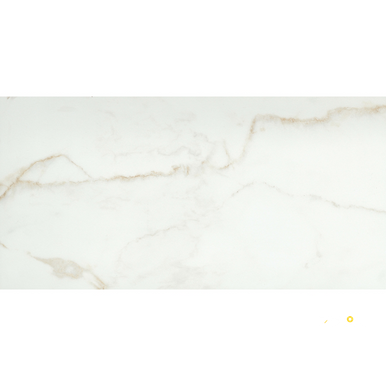 VISCONDE POLISHED 12X24 - 2