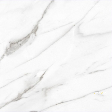 AGL CARRARA POLISHED 24" X 24" - ELYTIL2564 - 4