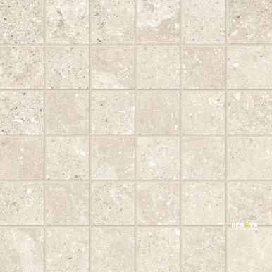 UNTAMED WANDER WARM MOSAIC 2" X 2" - 2