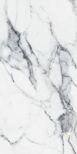ORIGINES ARGENT MATTE 24" X 48" - 5
