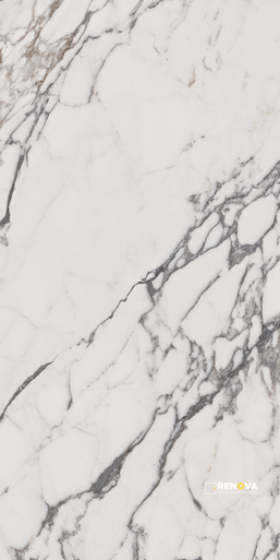 INDULGE POLISHED 24" X 48" - 2