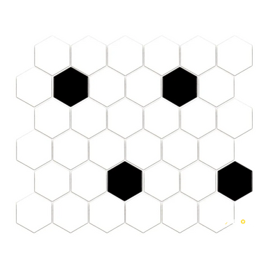 CHAPTER ES - ESSENTIALS WHITE/BLACK MATTE HEXAGON MOSAIC 2" - 4