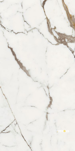 ORIGINES OR MATTE 24" X 48" - 7