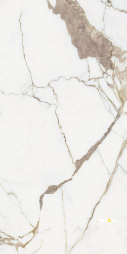ORIGINES OR MATTE 24" X 48" - 11