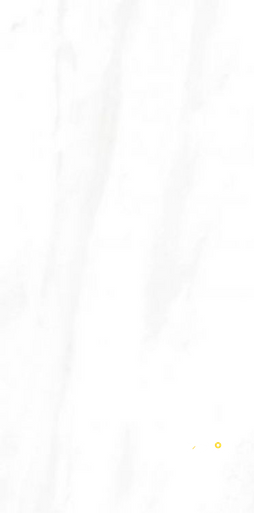 EC CALACATTA GOLD MATTE 12" X 24" - ELYTIL1686 - 5