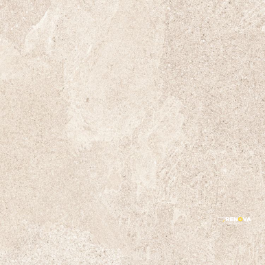 TUNE IVORY 24" X 24" - ELYTIL2588