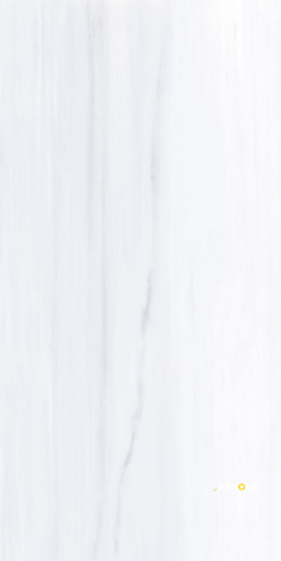 AN DOLOMITE SUPREME MATTE 24" X 48" - 4