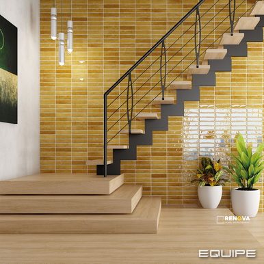 EQUIPE TRIBECA POLLEN 2-1/2X10 FIELD GLOSS - 3