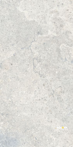 BEAT WHITE 12" X 24" - 5