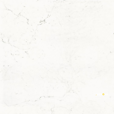 PURE CARRARA NATURAL 48" X 48" - 2