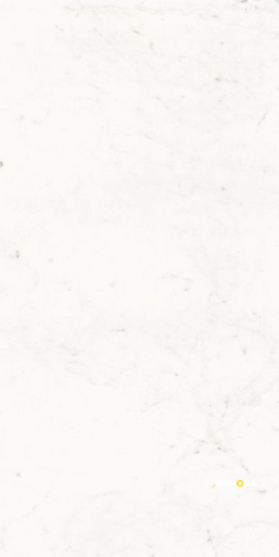 PURE CARRARA LUX 24" X 48" - 2