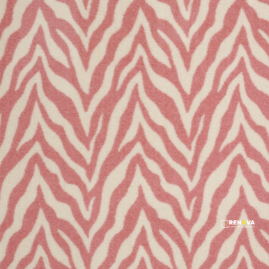 ZESTY ZEBRA - 3