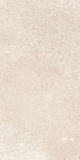 TUNE IVORY 12" X 24" - 2