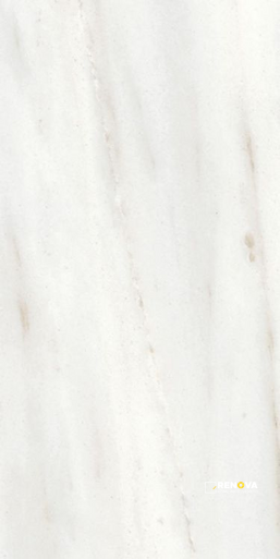 ORIGINES OMBRE DOREE MATTE 12" X 24" - 6