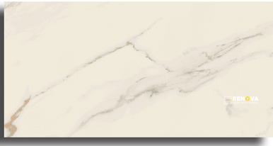 MOTIF POLISHED 12" X 24"