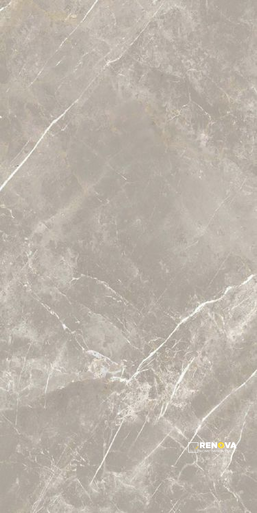 DOLOMIA GREY LUCIDO 24" X 48" - ELYTIL1548 - 5