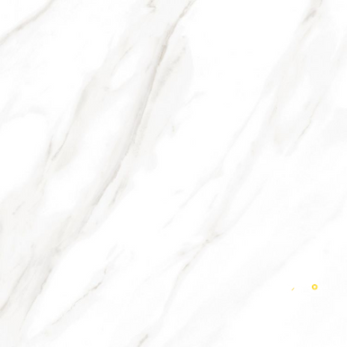 EC CALACATTA GOLD POLISHED 24" X 24" - ELYTIL1746 - 4
