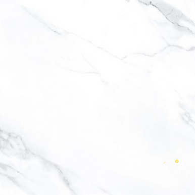 AGL STATUARIO POLISHED 24" X 24" - ELYTIL2565 - 5