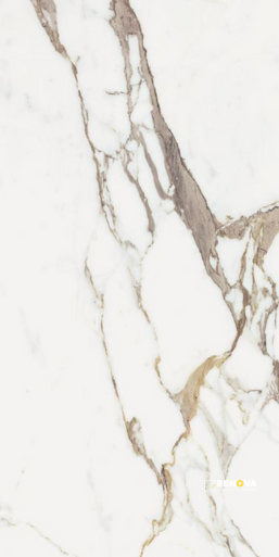 ORIGINES OR MATTE 24" X 48" - 12