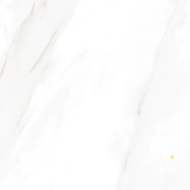 EC CALACATTA GOLD POLISHED 24" X 24" - ELYTIL1746 - 7