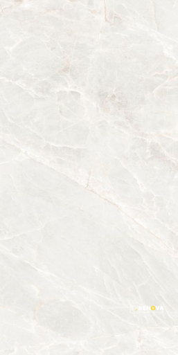 BRASILIA WHITE POLISHED 24" X 48"