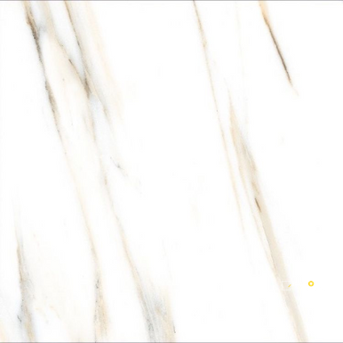 AGL CALACATTA GOLD MATTE 24" X 24" - ELYTIL2566 - 5