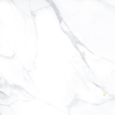 AGL STATUARIO MATTE 24" X 24" - ELYTIL2568 - 4