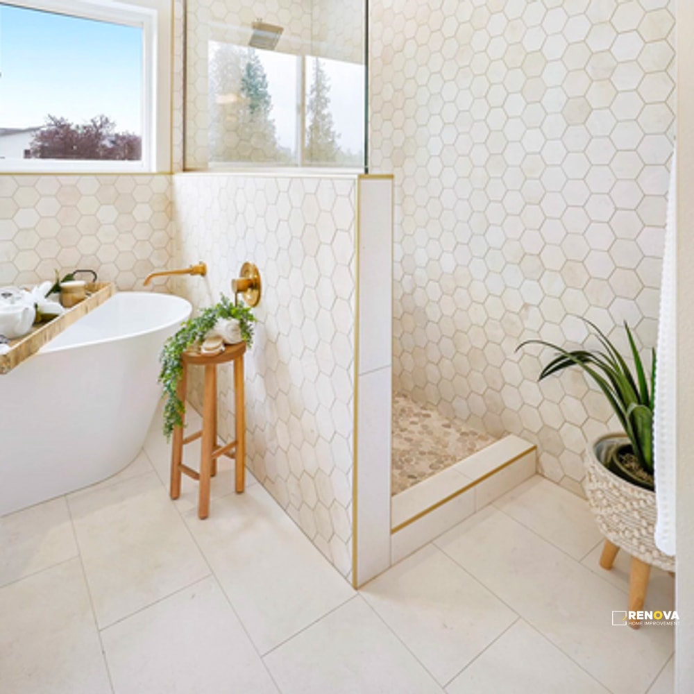 TERRA NOVA HONED 12" X 24" - 2