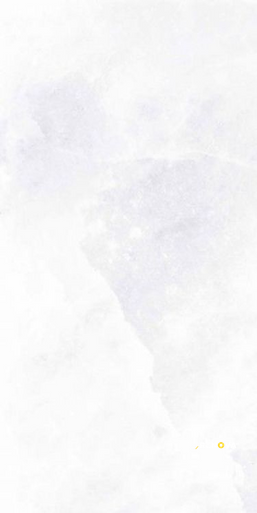 ARCHISALT FLOWER OF SALT CROSS 12" X 24" - 3