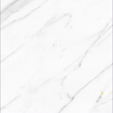 AGL CARRARA POLISHED 24" X 24" - ELYTIL2564 - 2