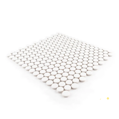 CHAPTER ES - ESSENTIALS PENNY ROUND WHITE GLOSS MOSAIC 3/4" - 2