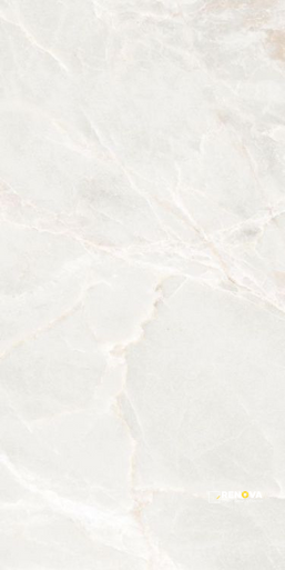 BRASILIA WHITE MATTE 12" X 24"