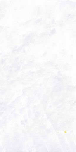 ARCHISALT FLOWER OF SALT CROSS 24" X 48" - 3