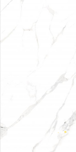 AGL STATUARIO POLISHED 24" X 48" - ELYTIL2572 - 3